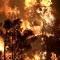 Los destrozos de un incendio forestal en España