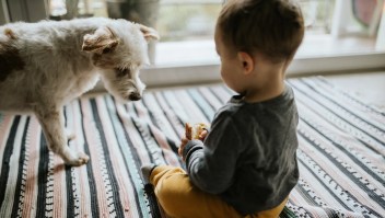 alergias niños mascotas perros gatos