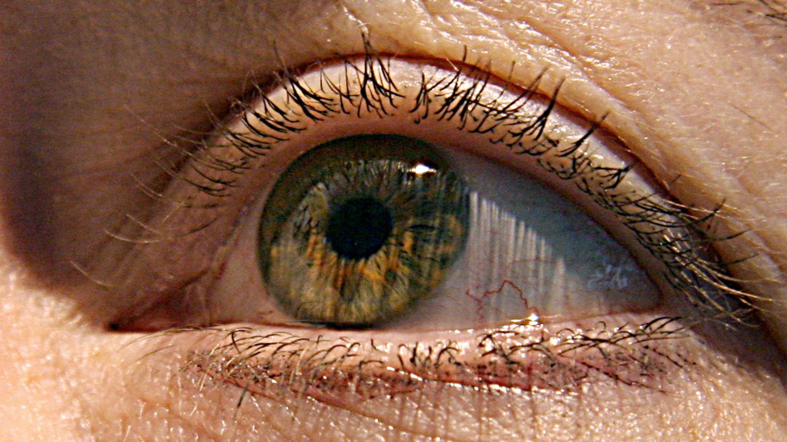 Photo of Un estudio mostró que los primeros signos de la enfermedad de Alzheimer pueden aparecer en los ojos