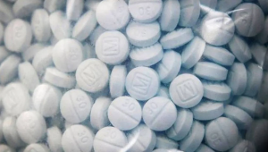 Una bolsa de pruebas que contiene el opioide sintético fentanilo, disfrazado de oxicodona, se muestra en la Oficina del Sheriff del Condado de Fresno el 19 de agosto de 2020.