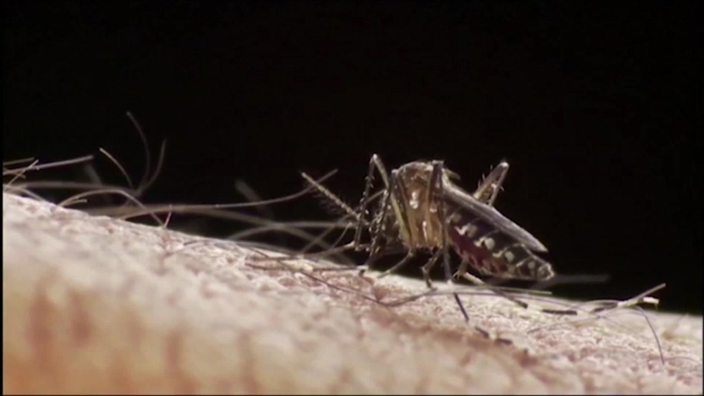 ¿Cómo evitar el contagio del dengue?