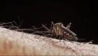 ¿Cómo evitar el contagio del dengue?