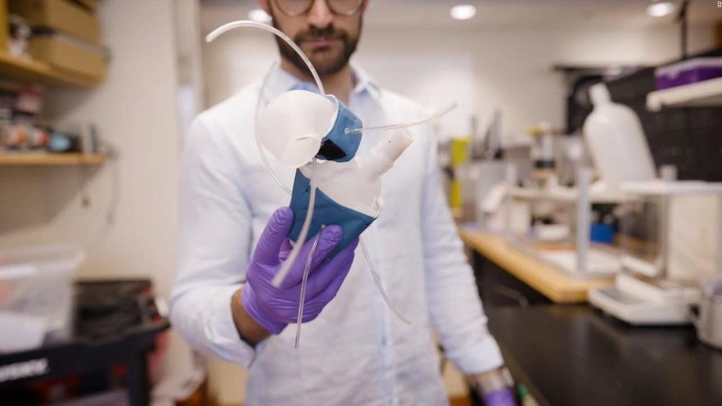 Están creando corazones impresos en 3D para terapia potencial