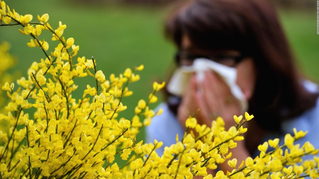 Vídeo: 4 consejos para evitar las alergias en temporada de polen
