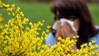 Video: 4 consejos para evitar las alergias en la temporada de polen