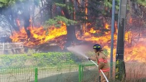 Impactantes imágenes de incendios forestales en Corea del Sur