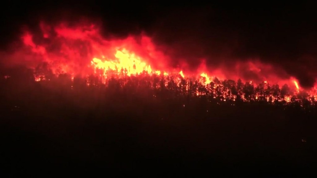 Impactantes imágenes del incendio forestal en Nueva Jersey