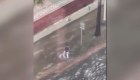 Un peatón nada en las calles de Florida tras las inundaciones