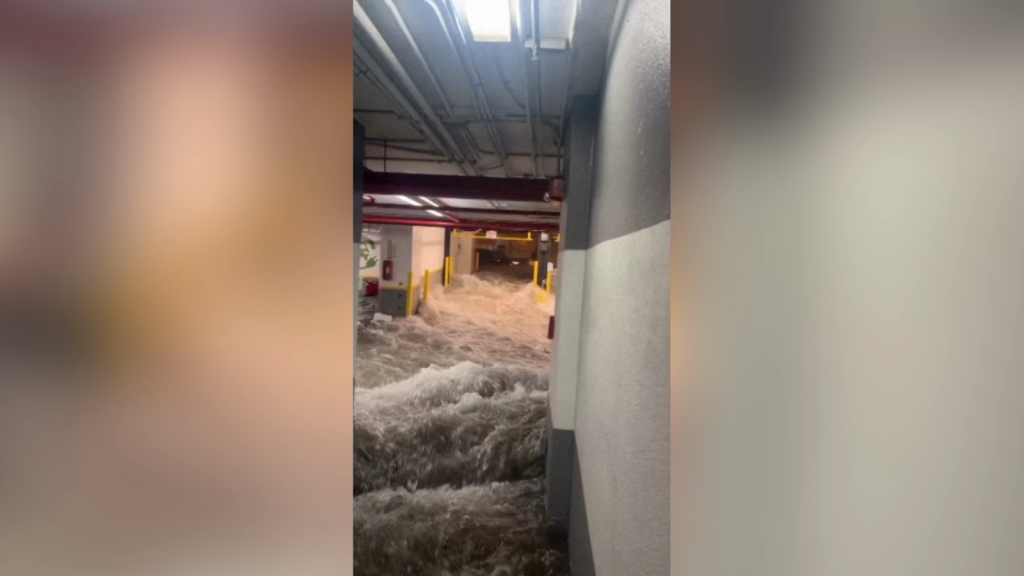 Like a river: this is how a parking lot was left in Fort Lauderdale