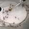 La curiosa técnica con la que buscan frenar avance del dengue en Argentina