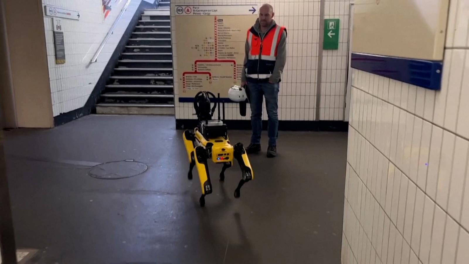 El perro robot que baila y sube escaleras de Boston Dynamics llega a la  industria española 