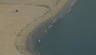 Contaminación de aguas residuales provoca cierre de 11 kilómetros de playas californianas