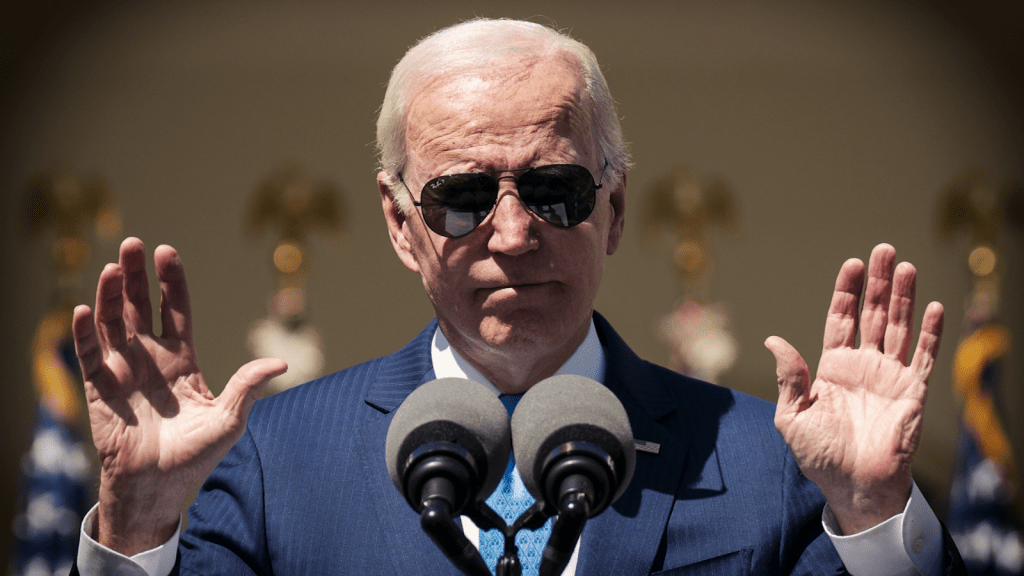 What do the citizens think of Biden seeking re-election?