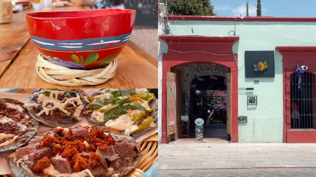 ¿De dónde vienes a Oaxaca, México?  Conoce el mercado de La Cosecha