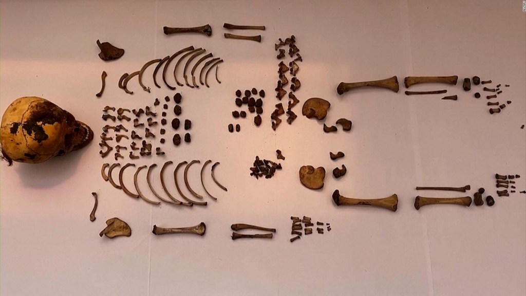 Desenterrada masa funeraria de 600 años en Perú