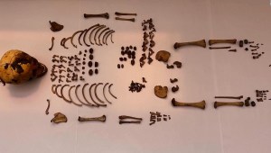 Desenterraron un bulto funerario de 600 años de antigüedad en Perú