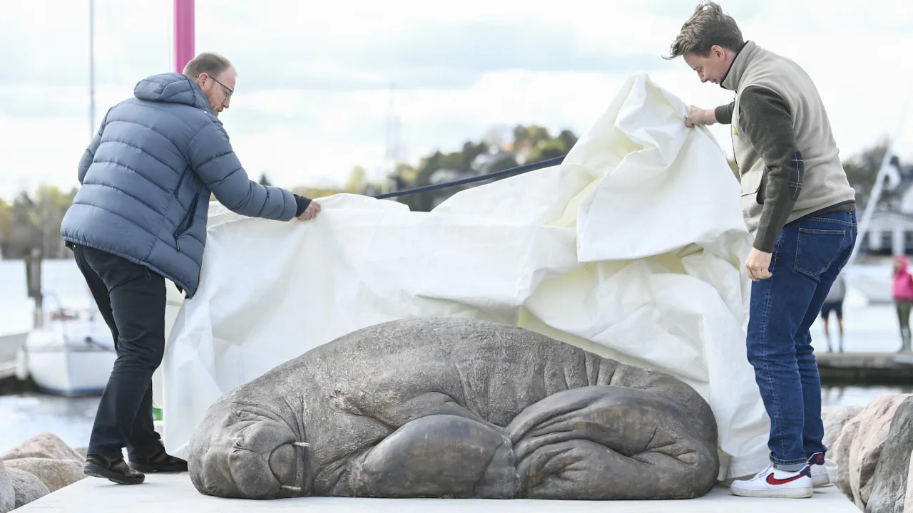 Se inaugura en Oslo la escultura de la morsa Freya