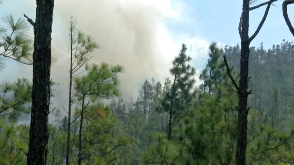 Un incendio destruye 100 hectáreas en una reserva forestal en Panamá