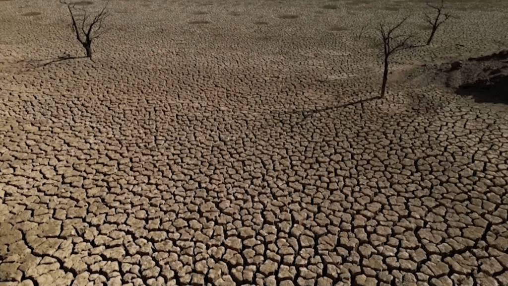Tierras áridas por el impacto del récord calórico en España