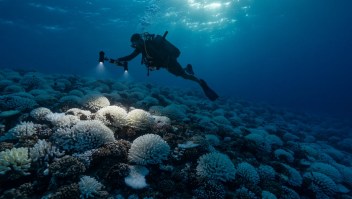 temperatura record oceanos