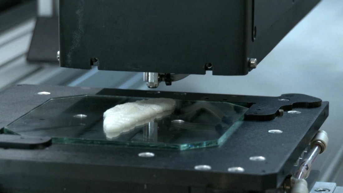 Mira estos filetes de pescado impresos en 3D