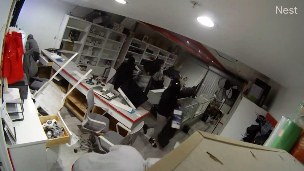 Video shows mass robbery at an electronics store