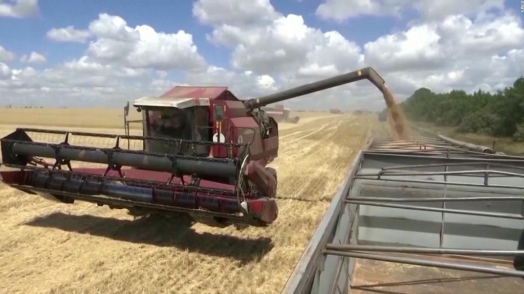 Caen los precios del trigo despues de otro acuerdo entre Rusia y Ucrania
