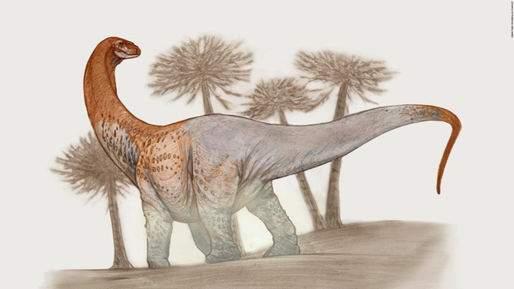 Paleontólogos del Conicet hallan restos fósiles de un dinosaurio en Argentina