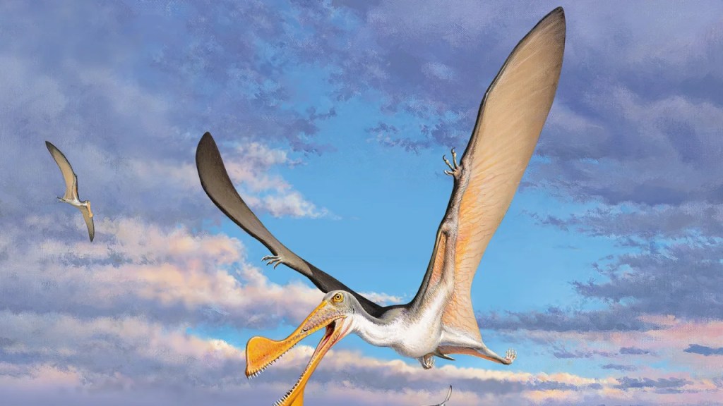 Fascinating Revelation About Where And How The World's Oldest Flying Reptile Lived