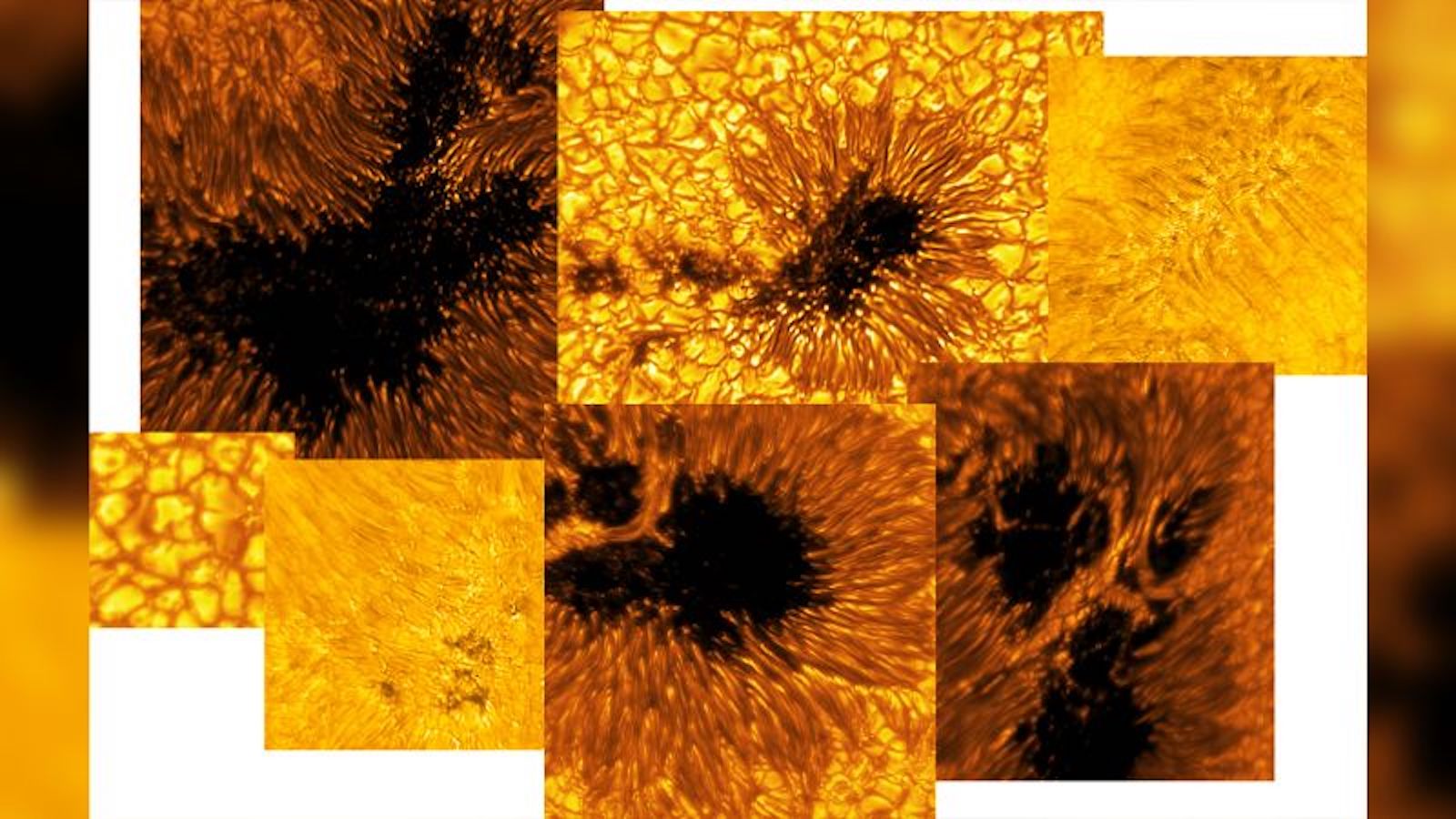 Unprecedented images reveal what happens to the Sun as it approaches ‘solar maximum’