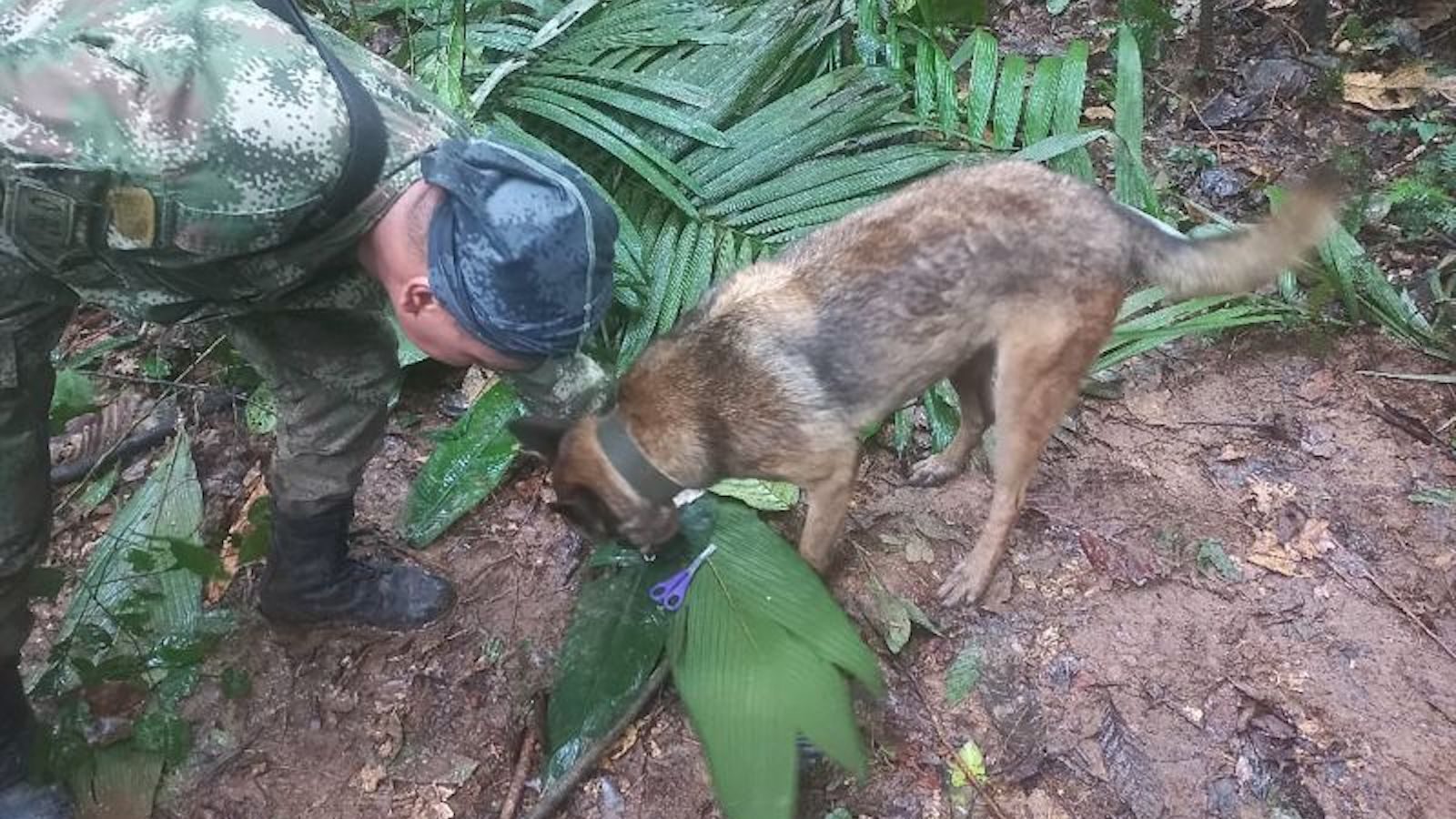  Qu Ha Pasado En La B squeda De Los Ni os Desaparecidos Tras Accidente 