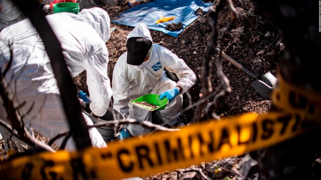 El crimen organizado avanza en México, según expertos