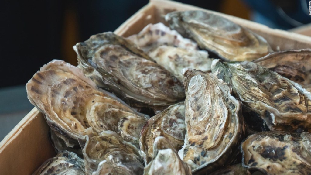 Un hombre muere tras ingerir ostras crudas en Missouri