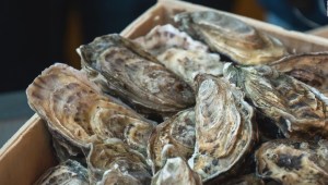Un hombre muere tras ingerir ostras crudas en Missouri