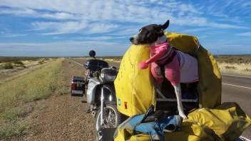 pareja moto viaje mundo perros
