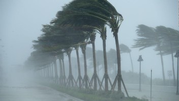 Viento y tormentas en Fort Lauderdale, Florida.