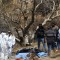 ¿Qué se sabe sobre el hallazgo de los restos humanos en Jalisco?