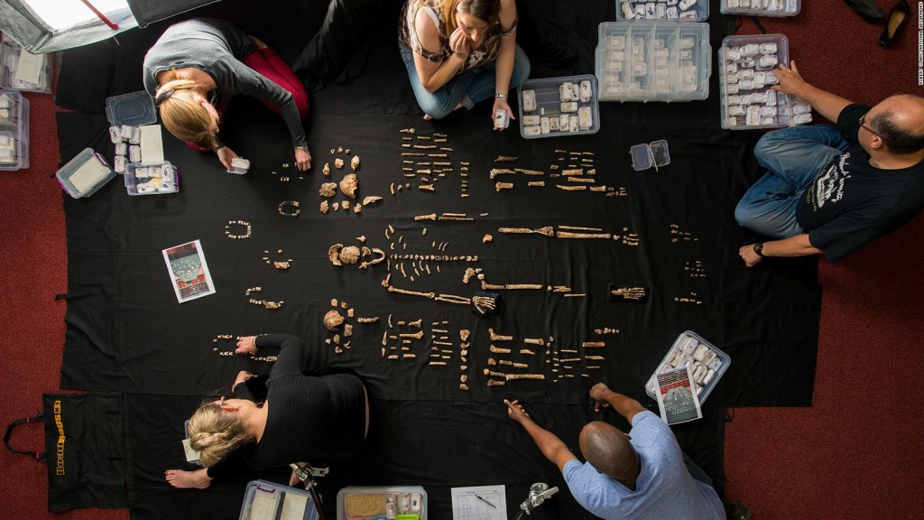 El paleoantropólogo revela nueva evidencia sobre los seres humanos