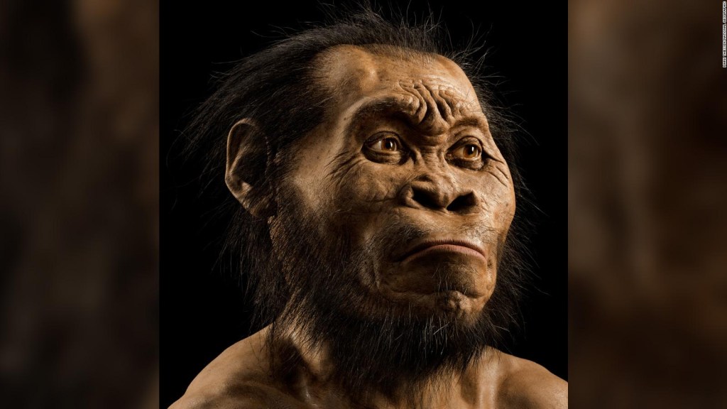 Who were the "homo naledi" And what did they do with their dead?