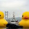 Mira los patos de goma gigantes que tomarán el puerto de Hong Kong