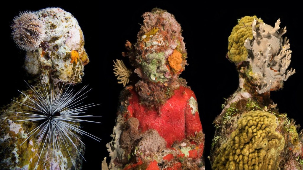 Art and nature merge at the bottom of the Australian sea