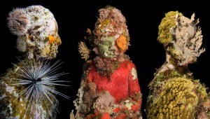 Arte y naturaleza se fusionan en el fondo del mar de Australia