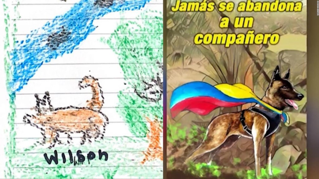 Wilson sigue perdido: los niños lo violaron en la selva y dibujan