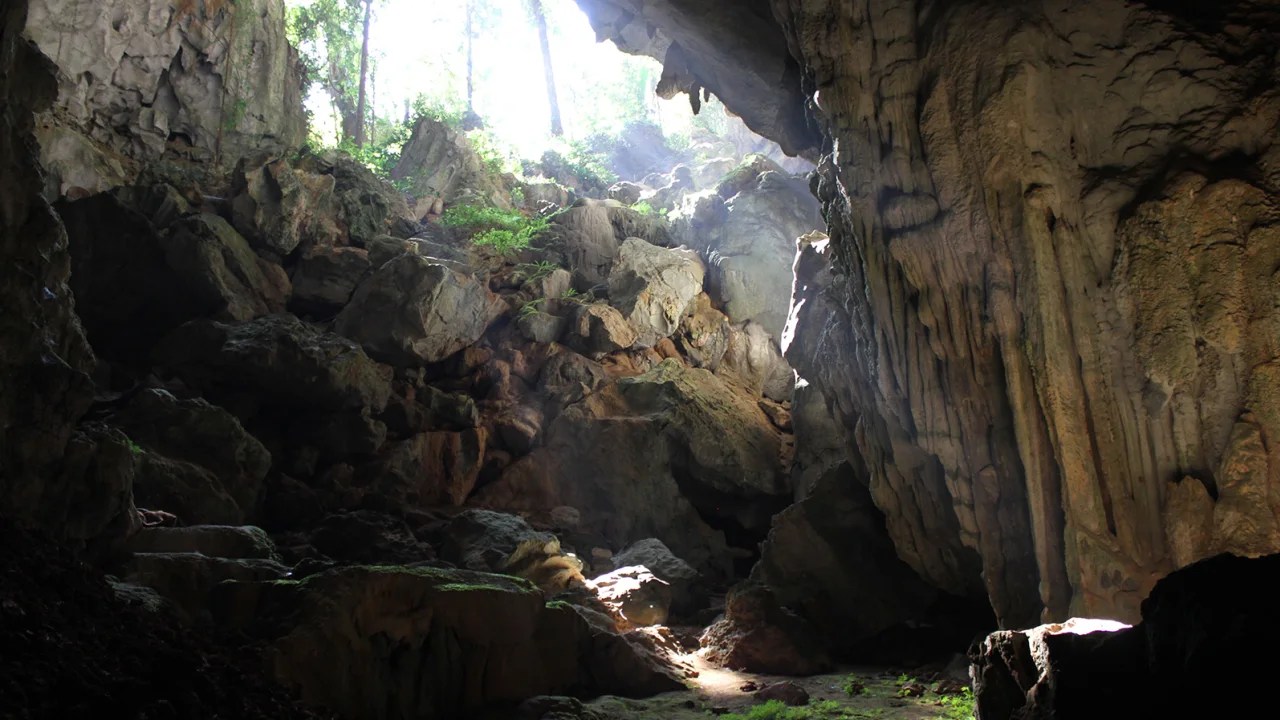 cueva laos homo sapiens
