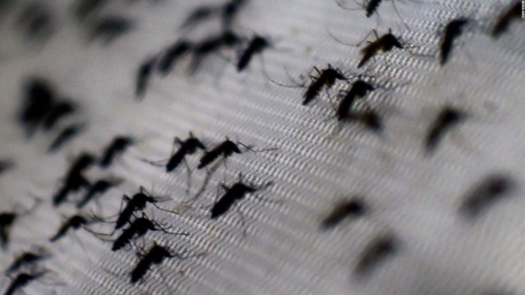 Al menos 201 personas fallecieron en Perú a causa del dengue