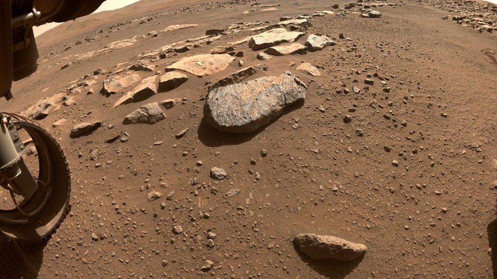 NASA compara imágenes de monstruos tocando Marte