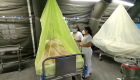 Aumenta el brote de dengue en Perú