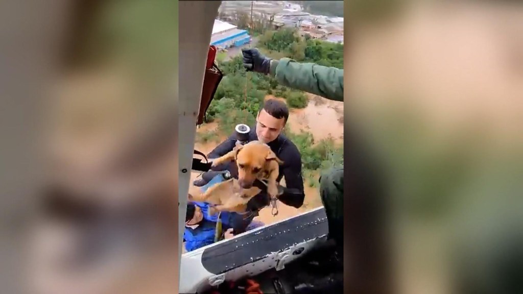 Rescatan a un hombre y su perro de inundaciones en Brasil