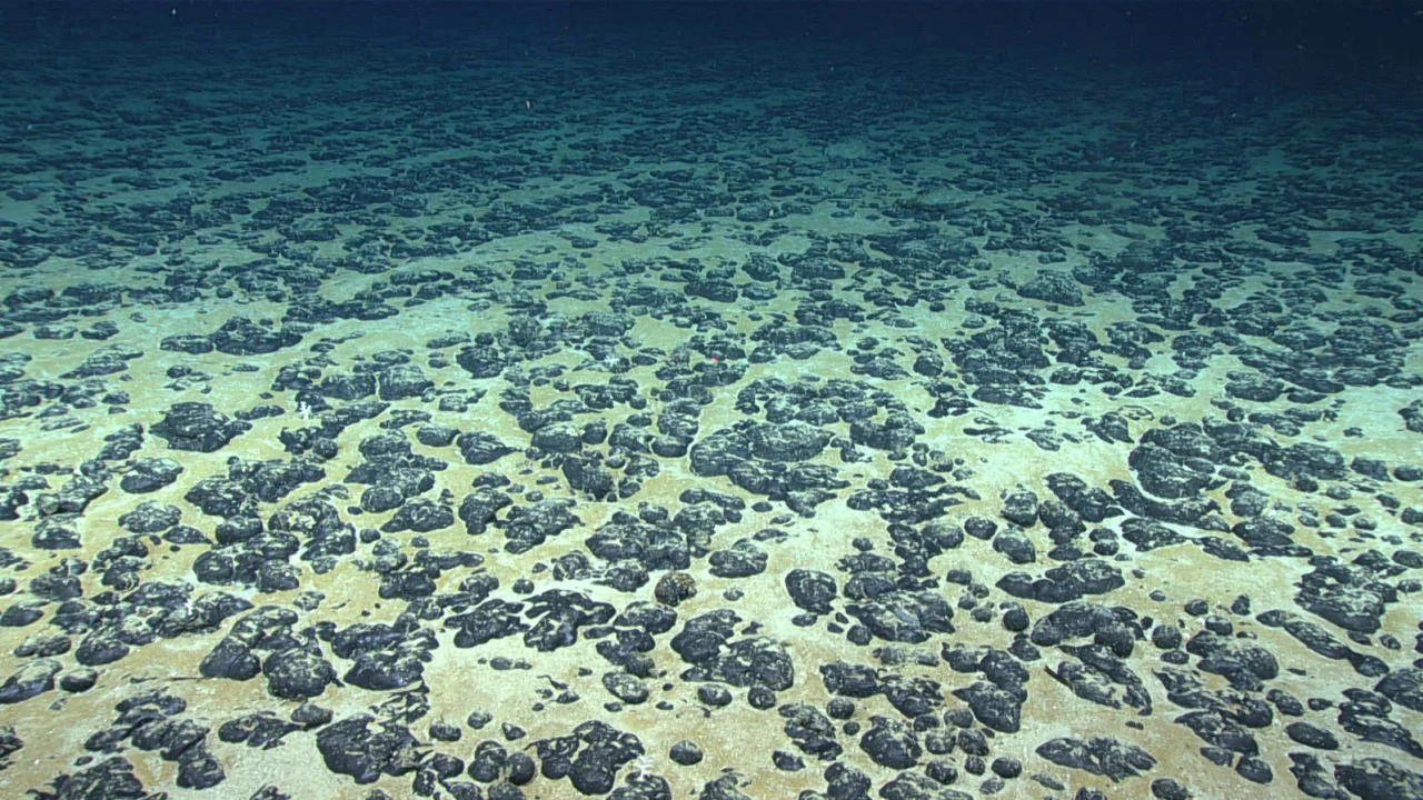 piso del océano fondo profundidades
