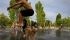 El cuidado de las mascotas durante la ola de calor